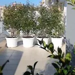 Gatto Bianco Le Terrazze Affittacamere