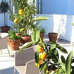 Gatto Bianco Le Terrazze Pensjonat 3*