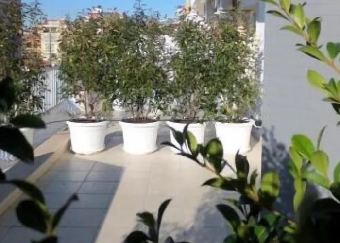 Gatto Bianco Le Terrazze Pensionat