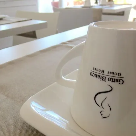 Vendégház Gatto Bianco Le Terrazze Bari