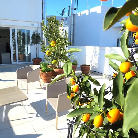 Gatto Bianco Le Terrazze Bari