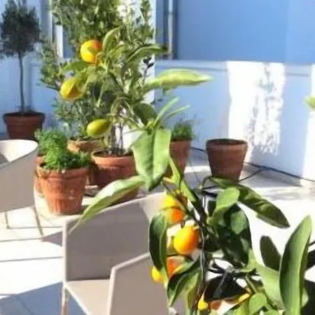 Gatto Bianco Le Terrazze Vendégház 3*